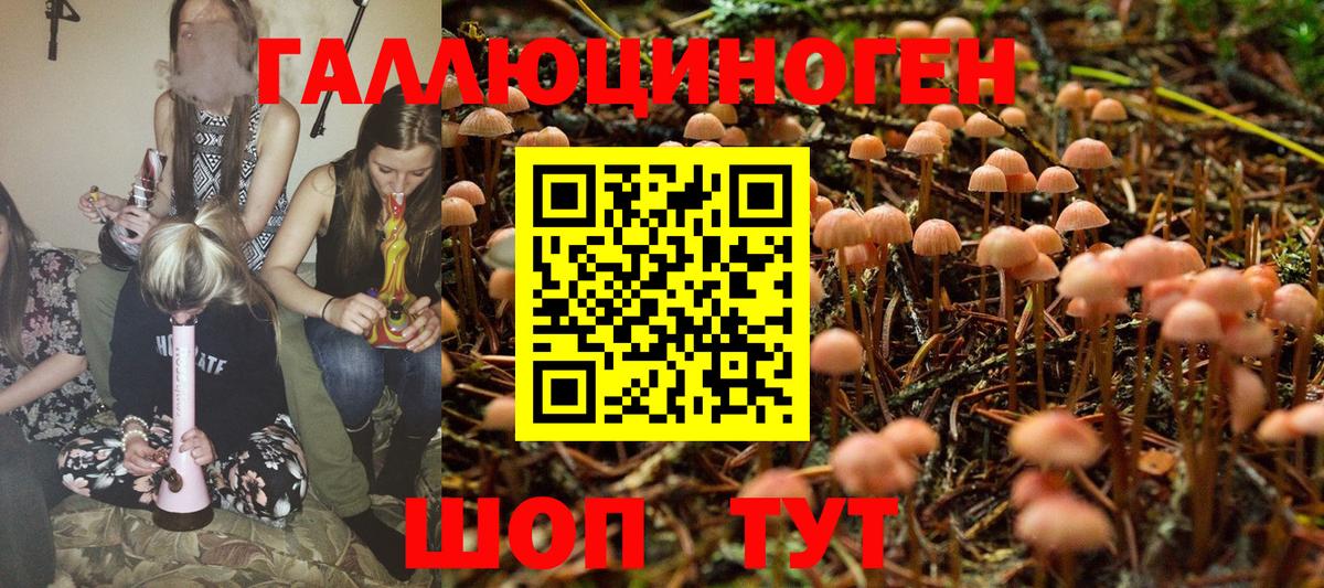 Псилоцибиновые грибы ЛСД Новотроицк