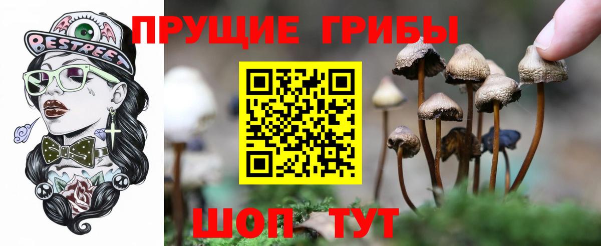 Галлюциногенные грибы Cubensis  Вход с VPN  Новотроицк 
